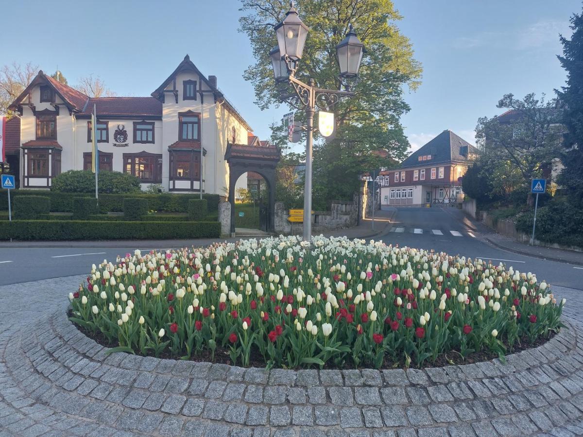Ferienwohnung Sweety Haus Sachsensteinblick Bad Sachsa Exteriör bild