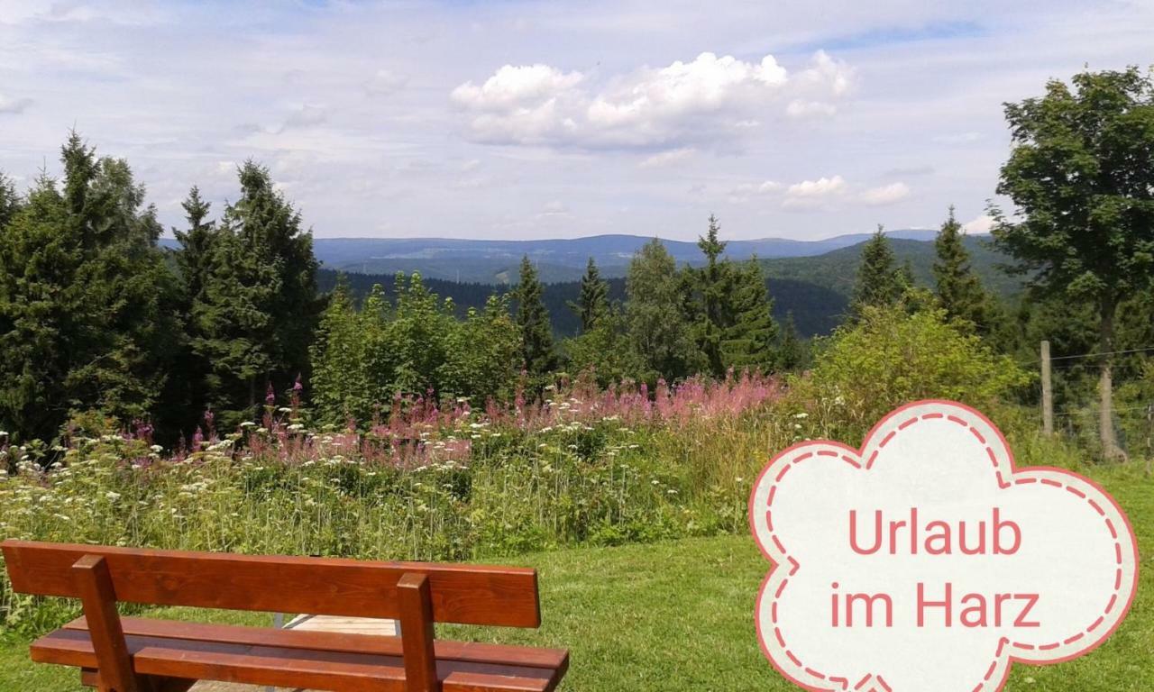 Ferienwohnung Sweety Haus Sachsensteinblick Bad Sachsa Exteriör bild